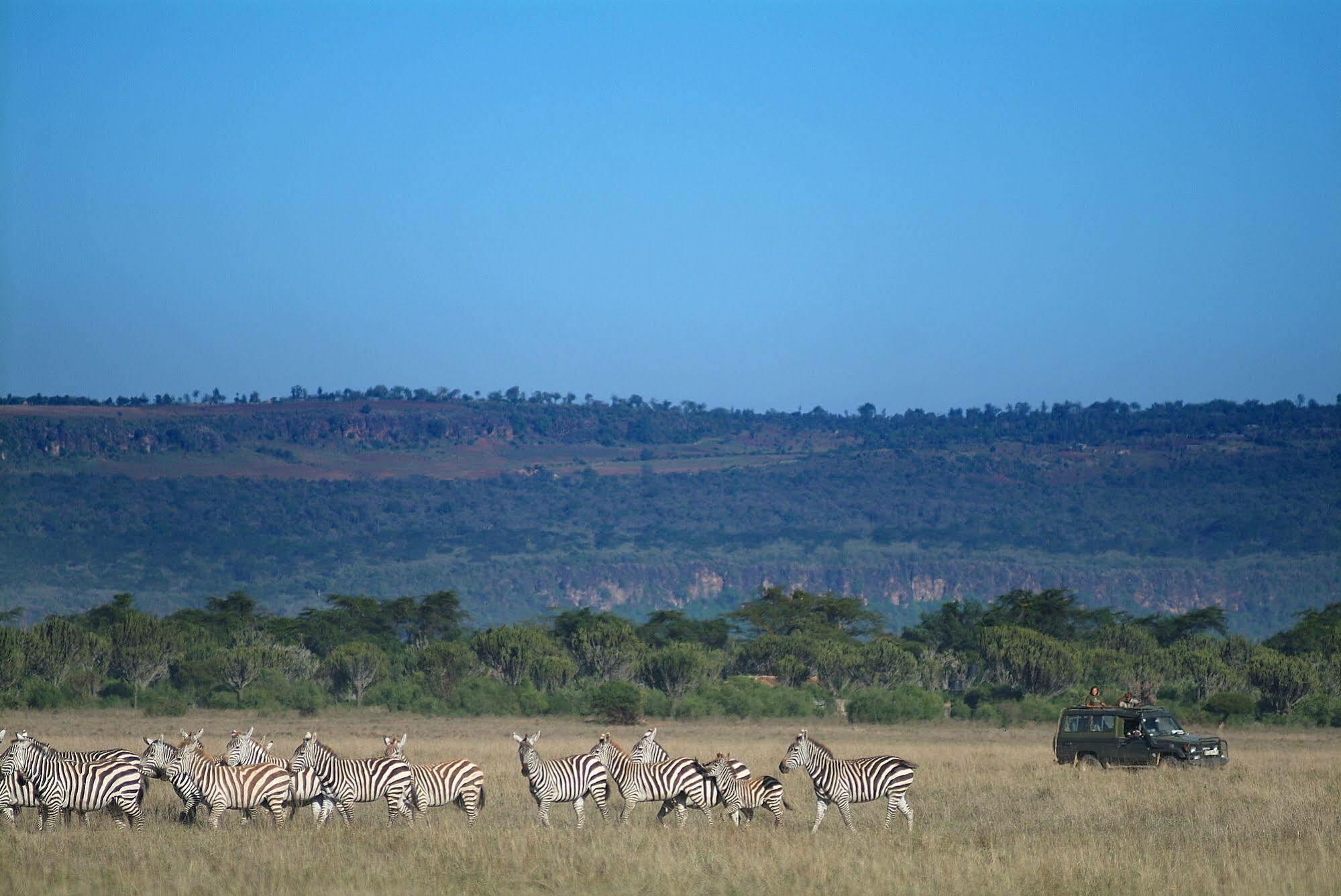 Mbweha Camp Hotel Elmenteita Eksteriør billede